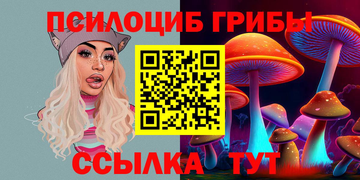 Кулебаки  Псилоцибиновые грибы Psilocybine cubensis  Псилоцибиновые грибы мицелий  купить   Вход с VPN 