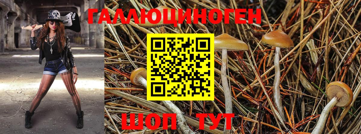 Псилоцибиновые грибы Magic Shrooms Кулебаки